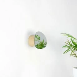 Nouveaux produits -Meubles d'appoint Soldes patere murale petit bolet 1