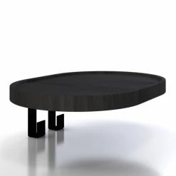 WOODEK Portemanteaux Et Patères Portemanteaux Mural Avec 2 Patères En Chêne Massif Noir